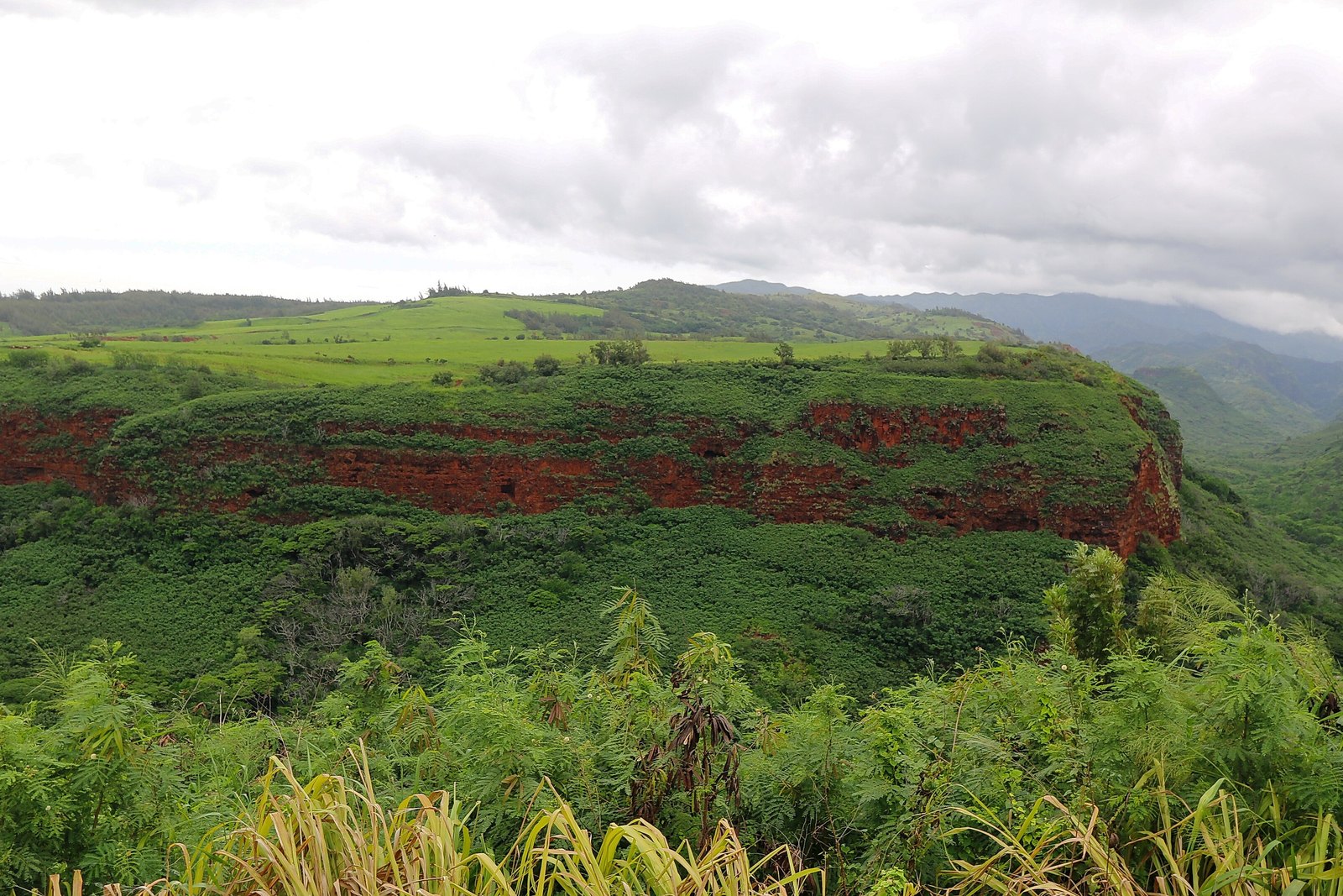 Water filtration in Kalaheo, HI