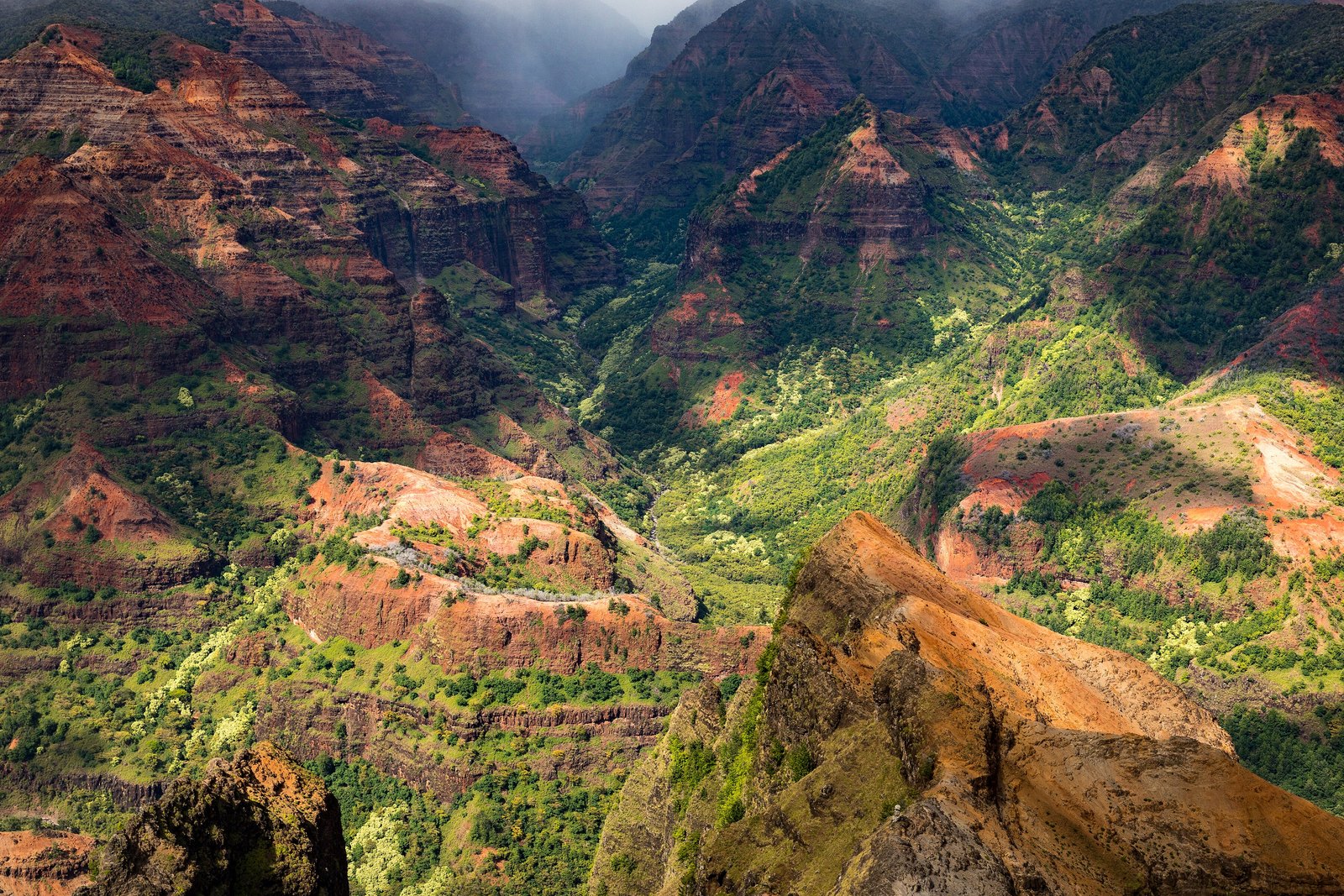 Water filtration in Waimea, HI